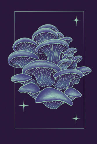 Cryptic Ocean Mushrooms