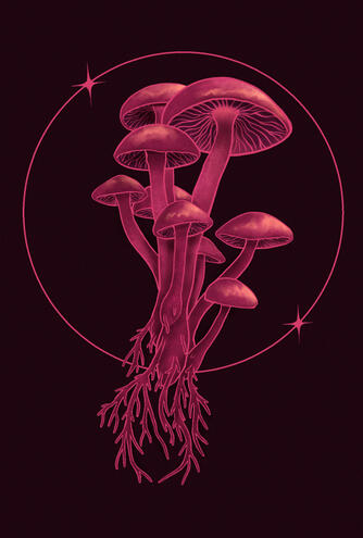 Blazing Midnight Mushrooms