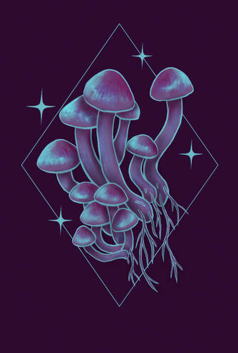 Berry Nebula Mushrooms